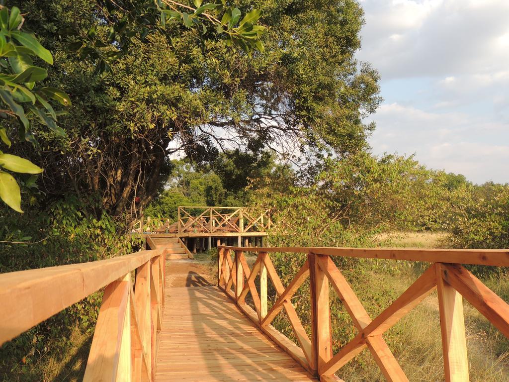 Loyk Mara Luxury Camp Otel Maasai Mara Dış mekan fotoğraf