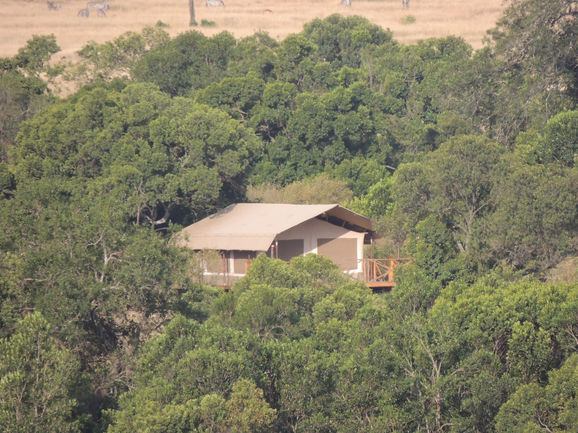 Loyk Mara Luxury Camp Otel Maasai Mara Dış mekan fotoğraf