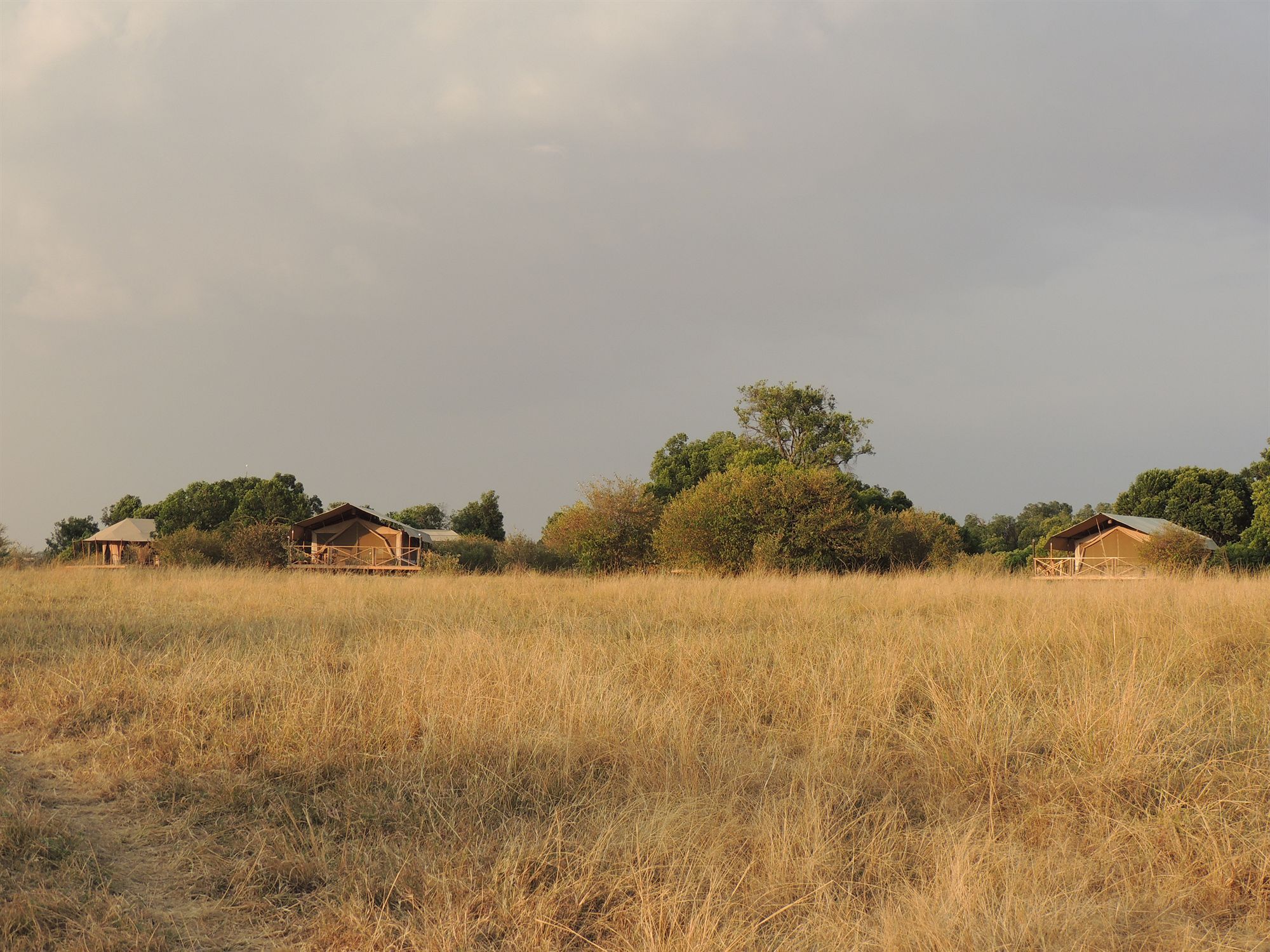 Loyk Mara Luxury Camp Otel Maasai Mara Dış mekan fotoğraf