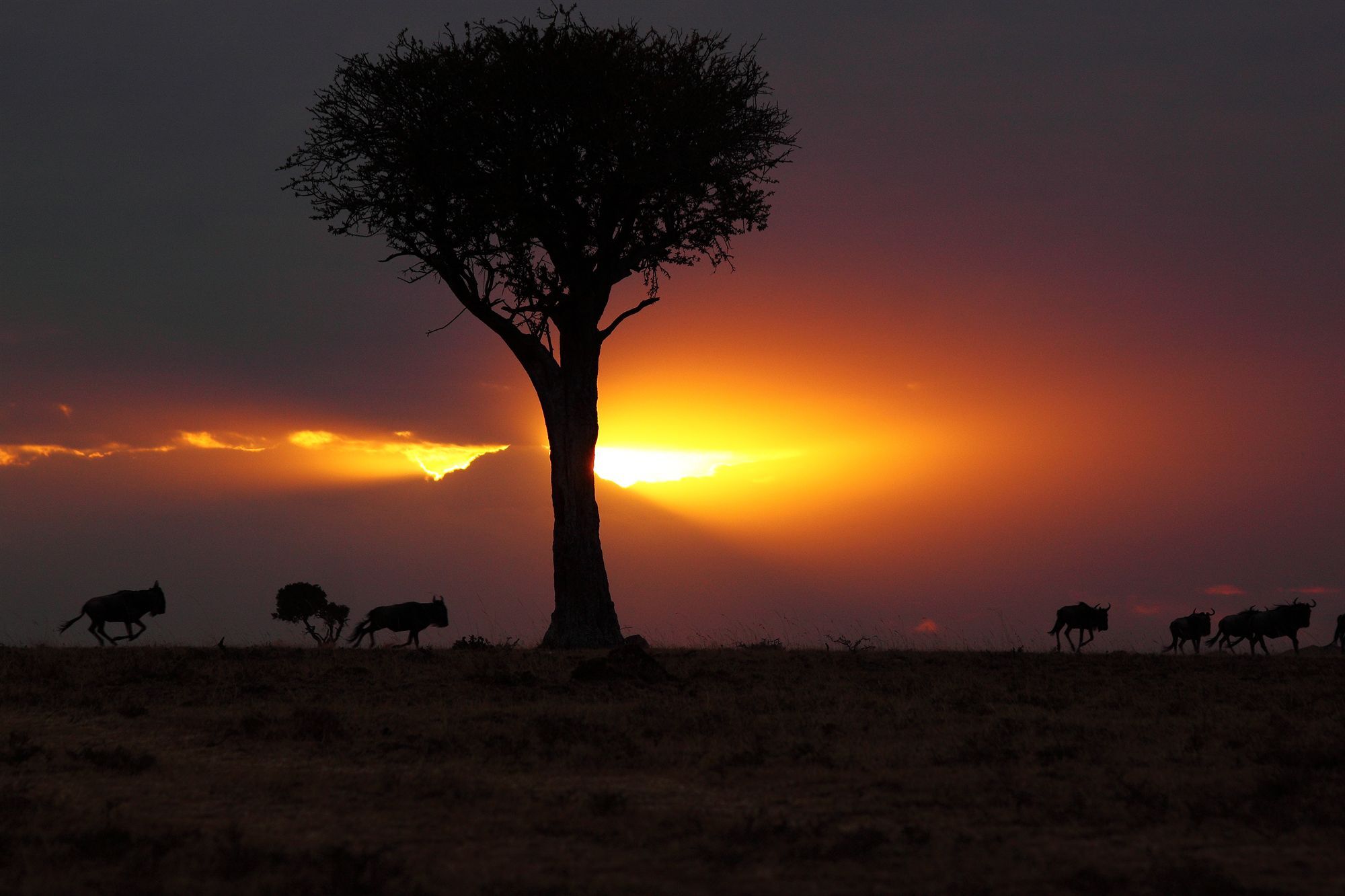 Loyk Mara Luxury Camp Otel Maasai Mara Dış mekan fotoğraf