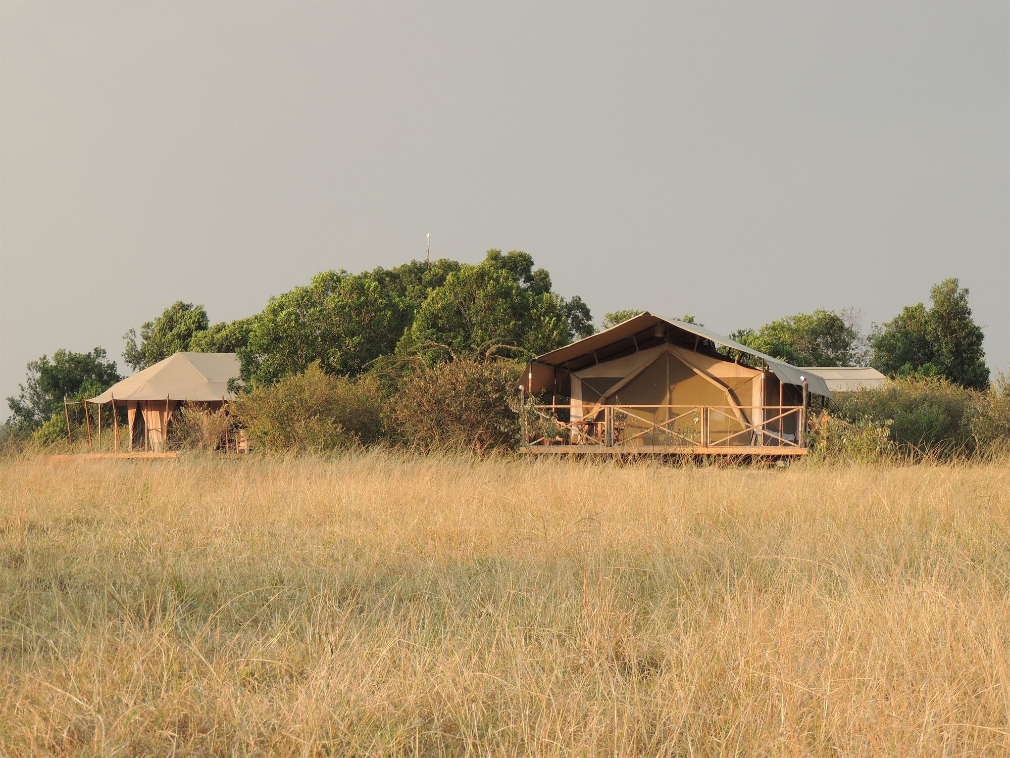 Loyk Mara Luxury Camp Otel Maasai Mara Dış mekan fotoğraf