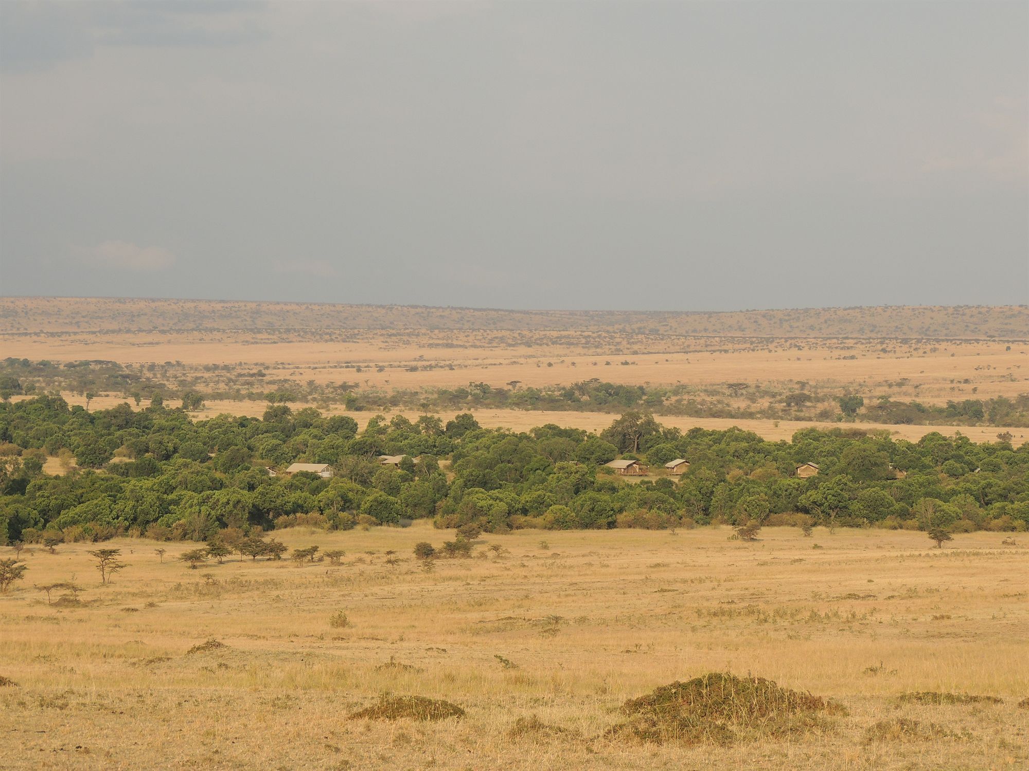 Loyk Mara Luxury Camp Otel Maasai Mara Dış mekan fotoğraf